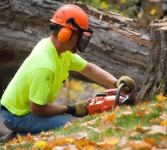 tree services Thompsonville